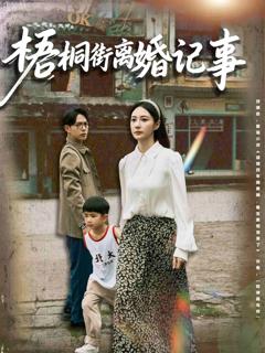 梧桐街离婚记事