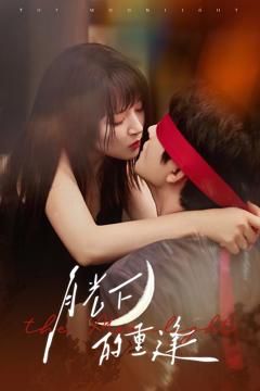 《月光下的重逢》