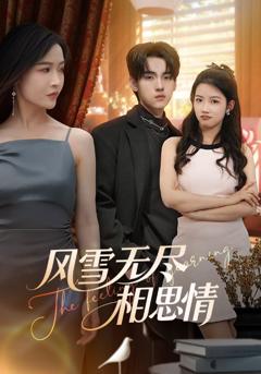 风雪无尽相思情