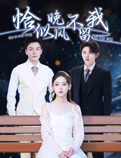 恰似晚风不留我