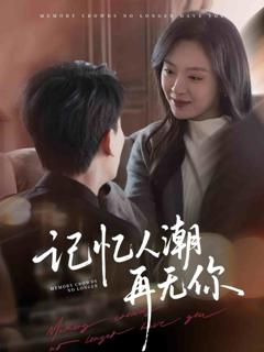 记忆人潮再无你