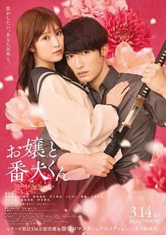 大小姐和看门犬(电影版)