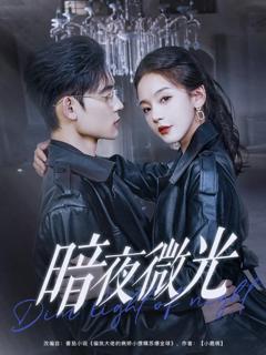 暗夜微光