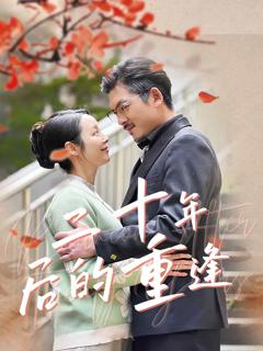 《二十年后的重逢》