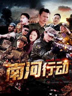 《南河行动》