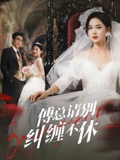 《傅总请别纠缠不休》