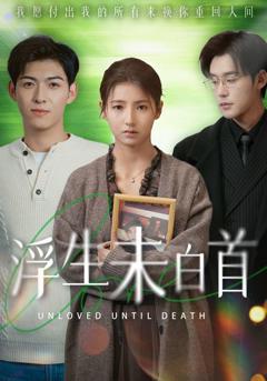 《浮生未白首》