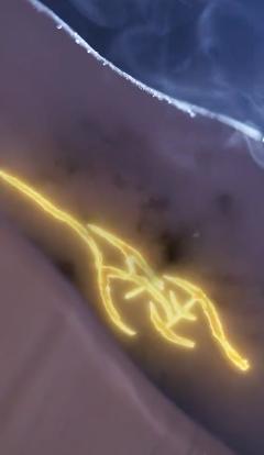 缘来仙妻就是你