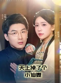 天上掉了个小仙妻