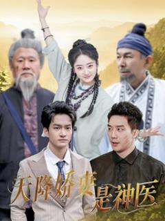天降娇妻是神医