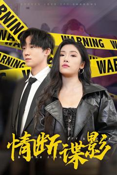 《我的特工老婆》