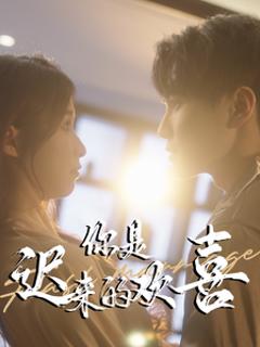 《你是迟来的欢喜》