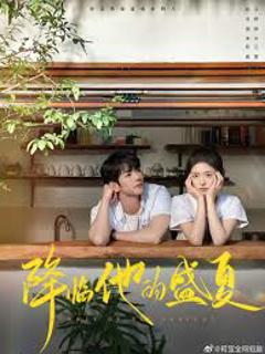 《降临他的盛夏》