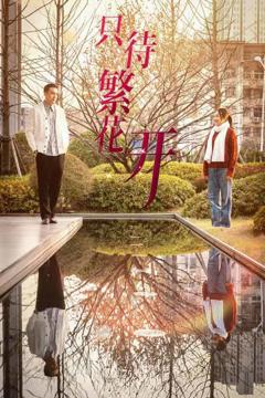 《只待繁花开》