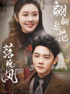 翩翩梨花落晚风