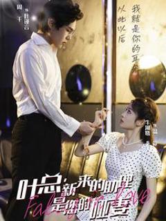 叶总新来的助理是您的哑妻