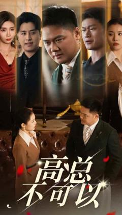 高总不可以