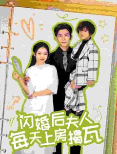 闪婚后夫人每天上房揭瓦