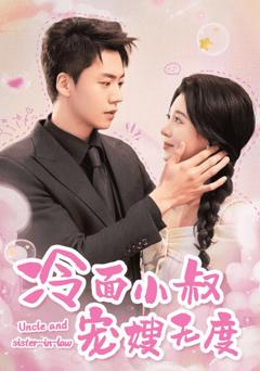 冷面小叔宠嫂无度