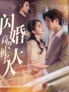 闪婚高冷机长大人