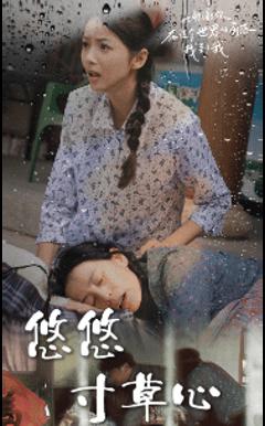 新版：悠悠寸草心