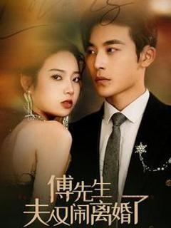 傅先生夫人又闹离婚了