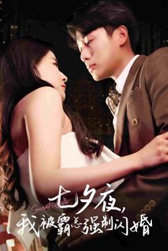 七夕夜我被霸总强制闪婚