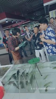 最新版：护国神帅