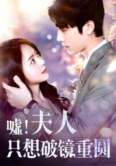 夫人只想破镜重圆