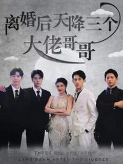 离婚后天降三个大佬哥哥