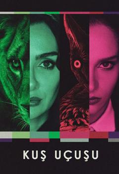 直线篡位第三季