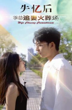 失忆后 季总追妻火葬场