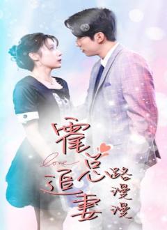 霍总追妻路漫漫