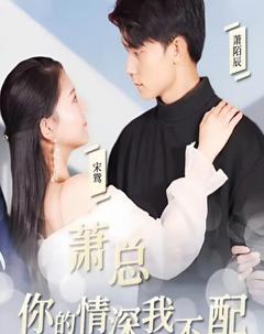 萧总，你的情深我不配