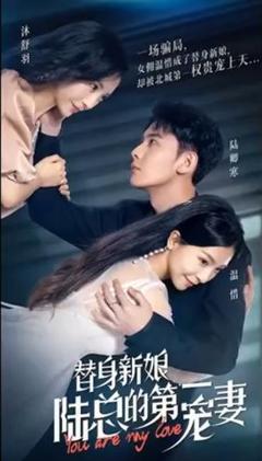 替身新娘:陆总的第一宠妻