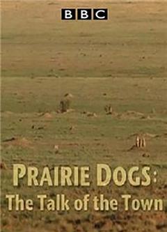 BBC自然世界.语言大师草原犬鼠