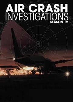 空中浩劫第十二季