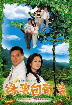 缘来自有机粤语