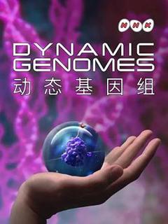 动态基因组