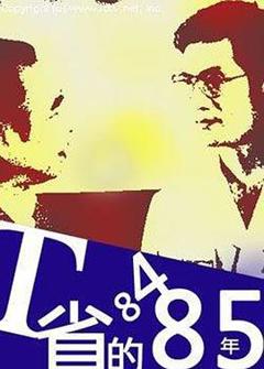 T省的84·85年