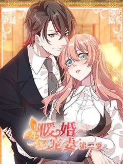 重生暖婚轻宠妻第二季