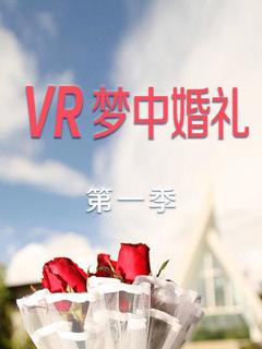 VR梦中婚礼第一季