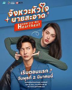 泰版狐狸的夏天