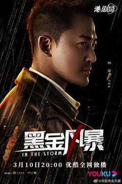 黑金风暴粤语