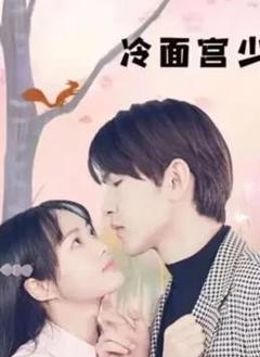 冷面宫少的小甜妻