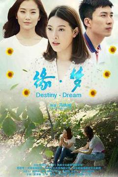 缘·梦