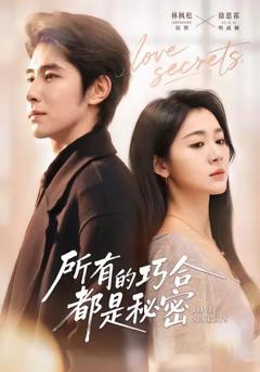《所有的巧合都是秘密》