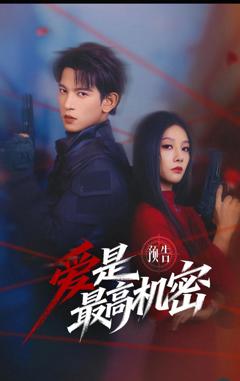 《爱是最高机密》