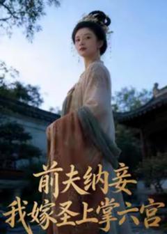 《前夫纳妾，我嫁圣上掌六宫》