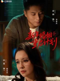《新年婚姻重启计划》